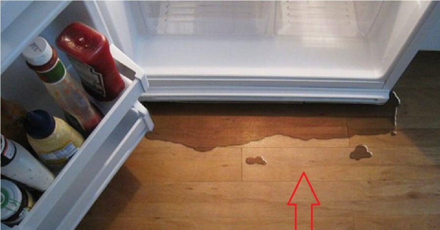 Tủ lạnh bị chảy nước: Đừng vội gọi thợ ngay, cách này không hề phí tiền