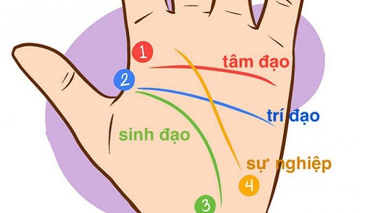 Người có 3 điểm lạ này trên lòng bàn tay: Không thành tỷ phú cũng không lo thiếu tiền, cuộc sống viên mãn