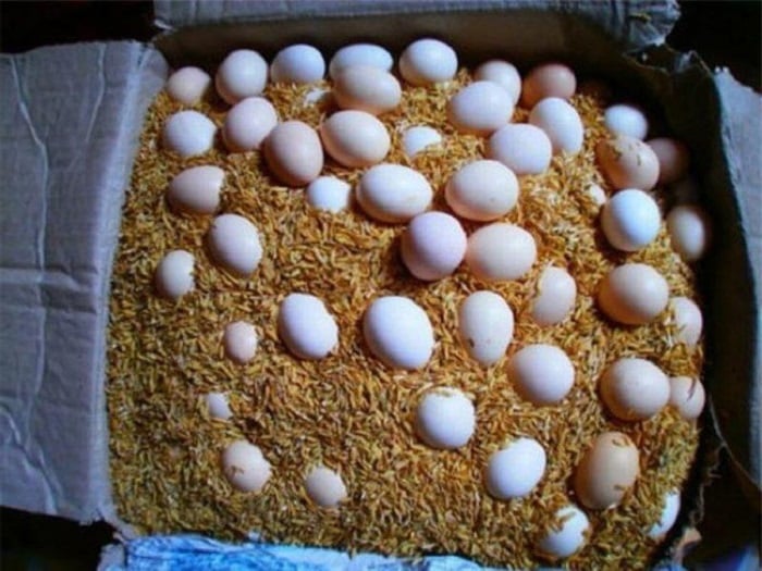 Trứng mua về đừng cho vào tủ lạnh ngay, đây là cách duy nhất để trứng lâu hư