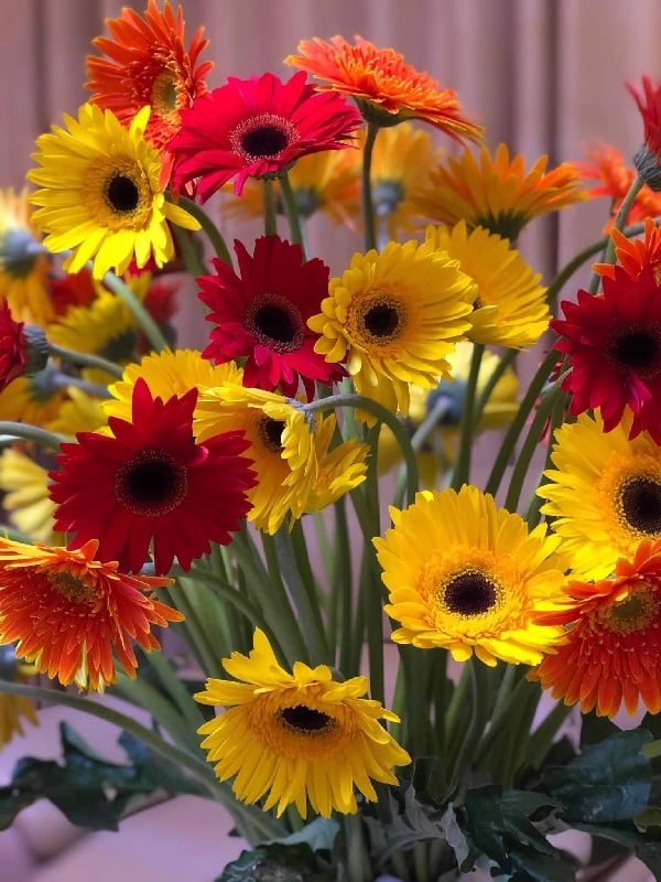 Đừng cúng hoa cúc, hoa ly mãi: Đây là 6 loại hoa đại cát, thắp hương cả tháng mùng 1
