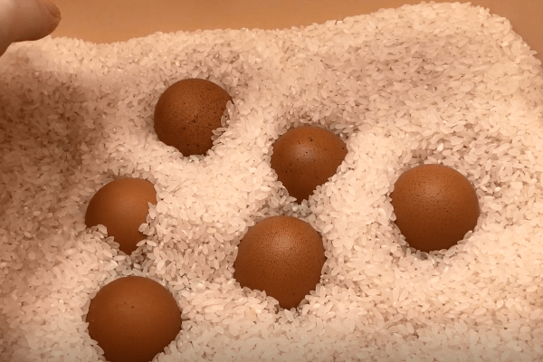 Mẹo bảo quản trứng không cần tủ lạnh để cả tháng không hư