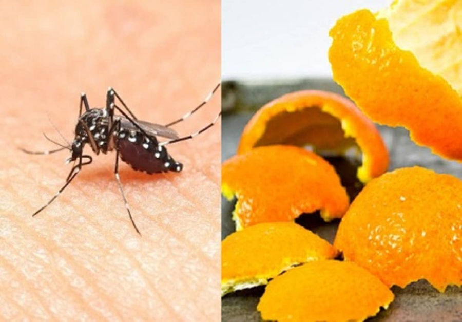 5 nguyên liệu nhà nào cũng có không ngờ lại giúp đuổi muỗi cực hiệu quả