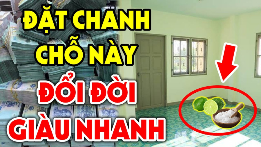 dat dia chanh muoi doi doi nhanh