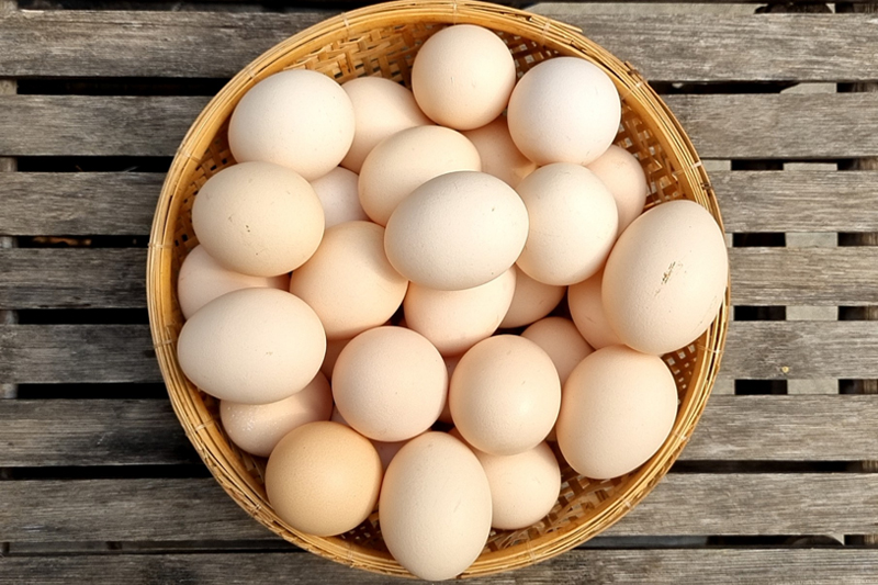 bynature-why-free-range-eggs