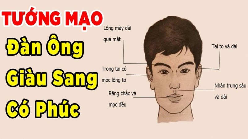 Tướng người càng giàu càng nhiều phúc lộc