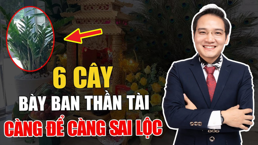 cay dat ban tho mang lai may man