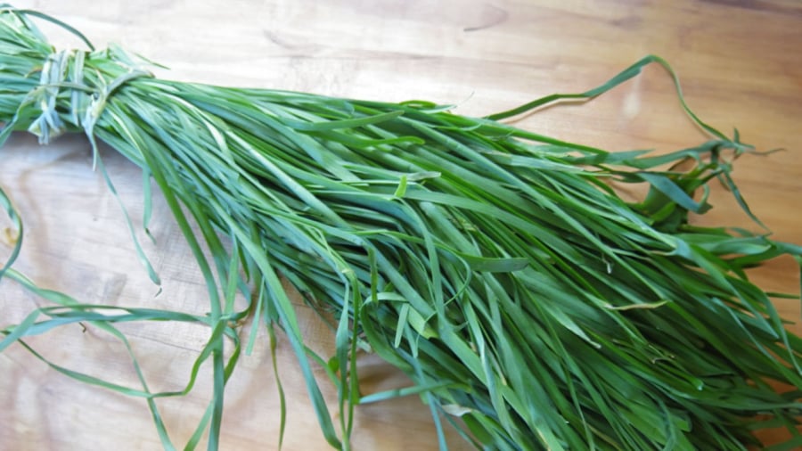 uses-of-chive-leaves