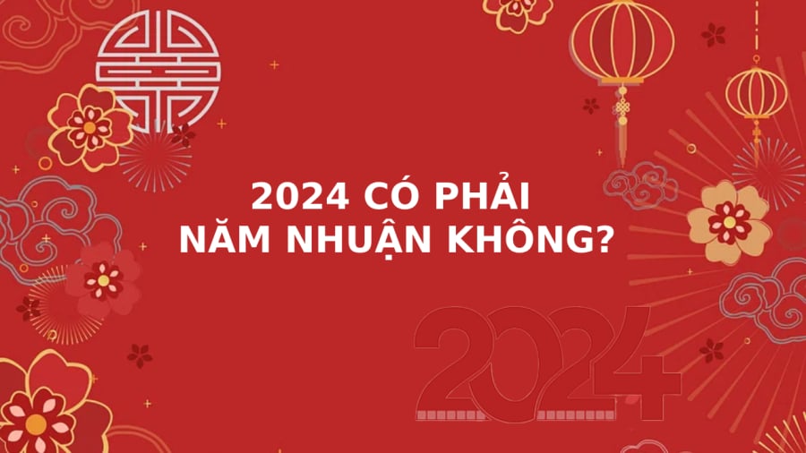 2024-nam-nhuan-01