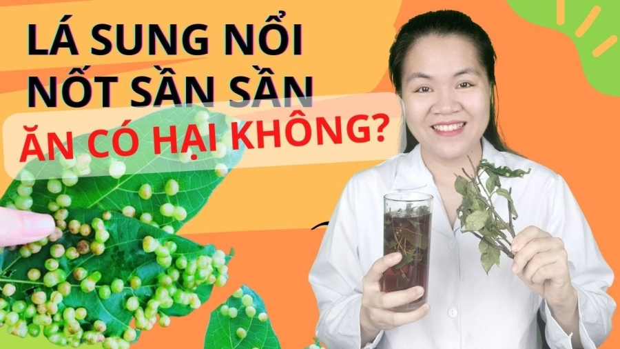 Vì sao trên lá sung là có nhiều nốt mụn sần? Nó có ăn được không?