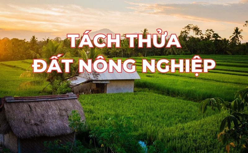 dat-nong-nghiep