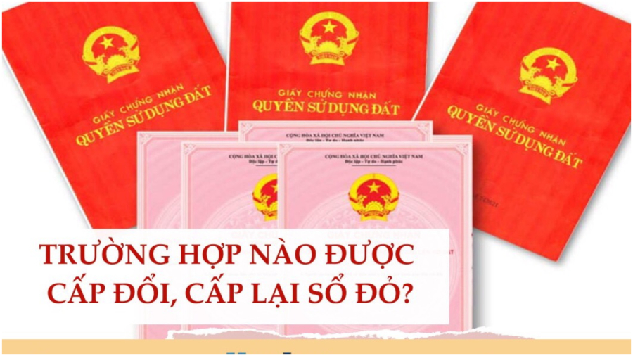 4 TRUONG HOP PHAI DI CAP DOI LAI SO DO NAM 2024