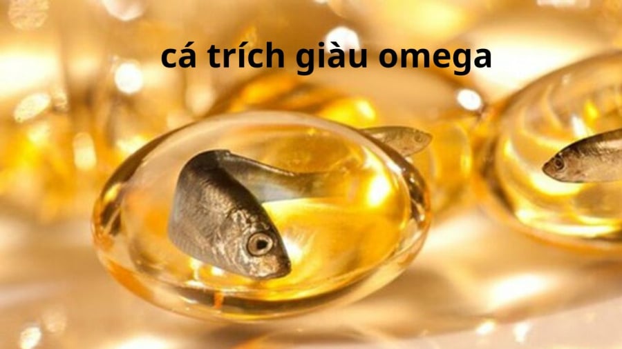 ca-trich-giau-omega