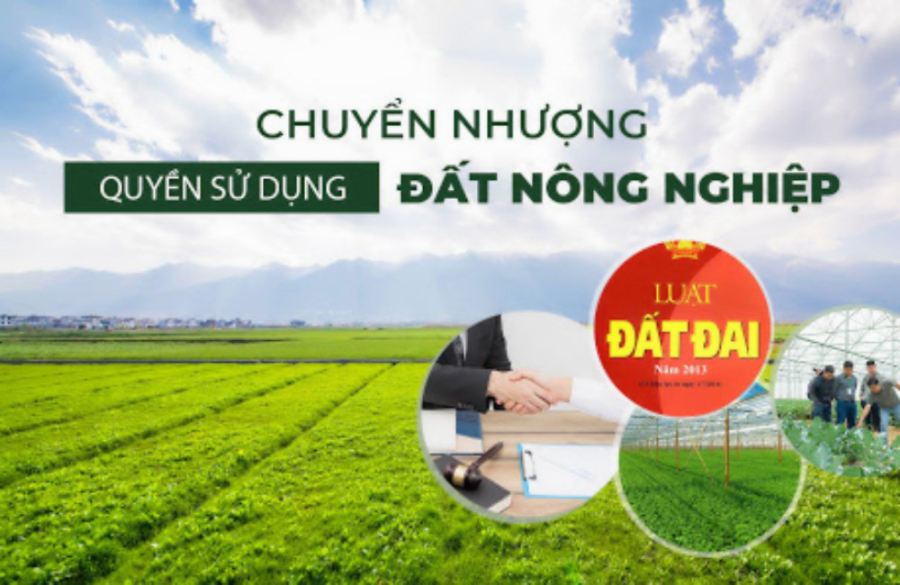 dat-nong-nghiep