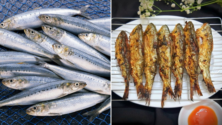 4 loại cá bổ dưỡng, được đánh bắt tự nhiên, đi chợ gặp được phải mua ngay