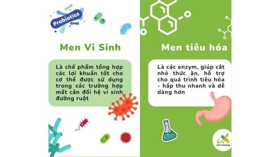 Men tiêu hóa và men vi sinh là hai hay là một, có phải dùng thường xuyên thì càng tốt? Nhiều người hiểu sai