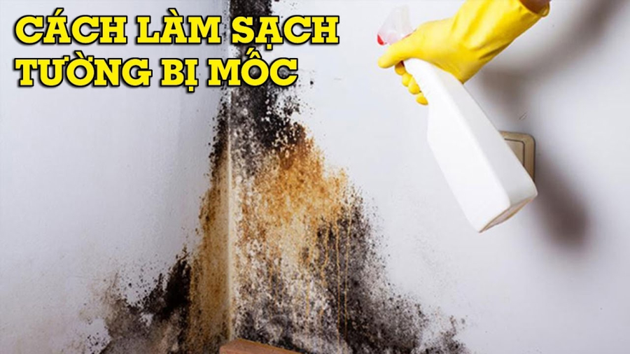 Nếu bạn có thời gian và công sức, bạn có thể làm sạch nó sáu tháng một lần hoặc lâu hơn để đảm bảo rằng các bức tường sạch sẽ.    