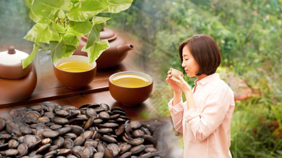 Thường xuyên uống trà xanh vào buổi sáng, cơ thể bạn sẽ có những lợi ích bất ngờ