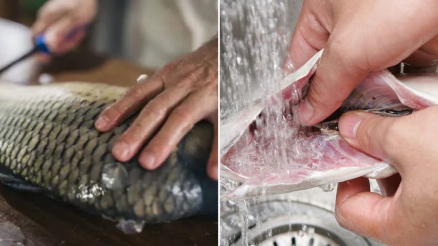 Bạn cần làm sạch lớp màng đen trong bụng cá trước khi nấu.
