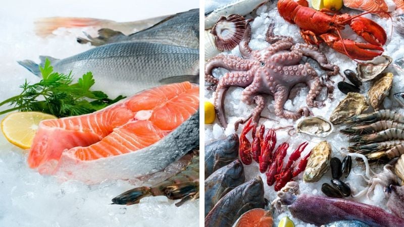 Các loại hải sản này chính là một phần quan trọng trong chế độ ăn hàng ngày của Lưu Diệc Phi 