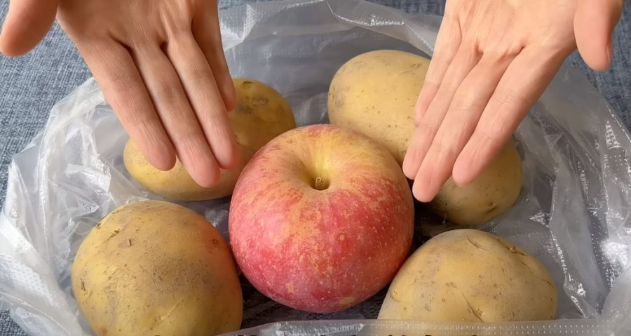 Bảo quản khoai tây với táo cũng giúp ức chế khoai tây mọc mầm.