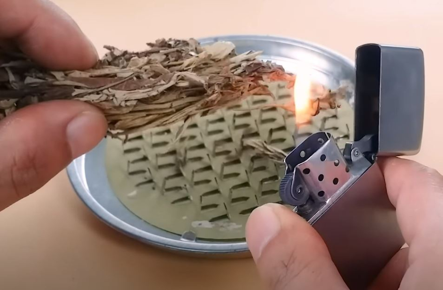 Bạn có thể sử dụng lá ngải cứu như một loại hương muỗi.