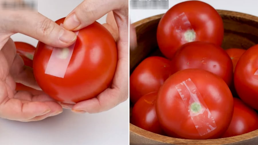 Dán một mẩu băng dính nhỏ lên cuống quả cà chua sẽ giúp nó tươi ngon trong thời gian dài hơn.