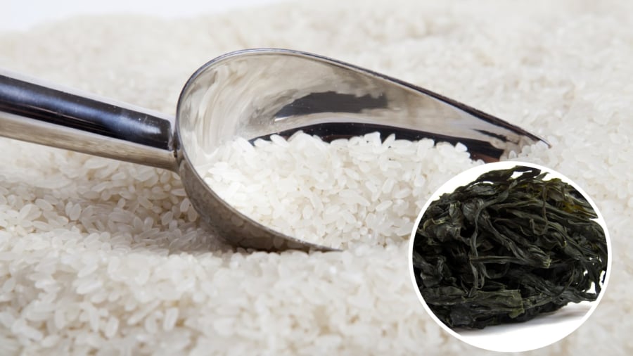 Bạn có thể bỏ rong biển ⱪhȏ vào thùng gạo ᵭể giữ cho gạo ʟuȏn ⱪhȏ ráo, ⱪhȏng bị ẩm mṓc.