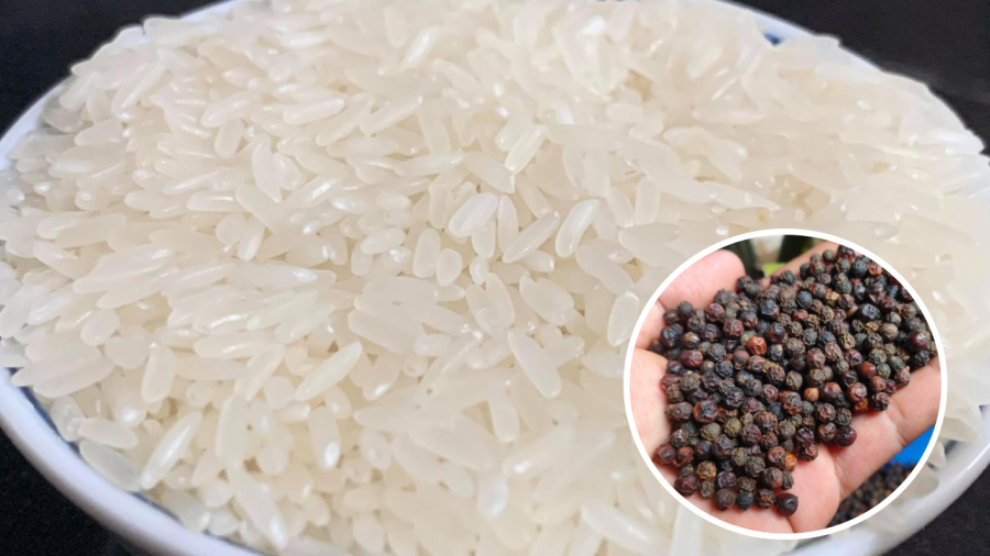 Hạt tiêu vừa giúp đuổi mối mọt trong gạo vừa giữ cho gạo khô ráo.
