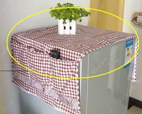 Một số người thường có thói quen đặt lọ hoa, chậu cây trên nóc tủ lạnh để làm đẹp không gian bếp. 