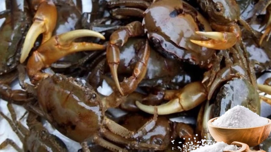 Khi làm cua nhớ thêm muối biển sẽ giúp thịt cua khi nấu nhanh nổi tảng hơn