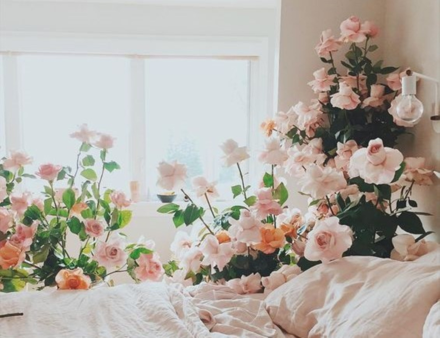 Mùi thơm của hoa hồng có thể khiến bạn mất ngủ