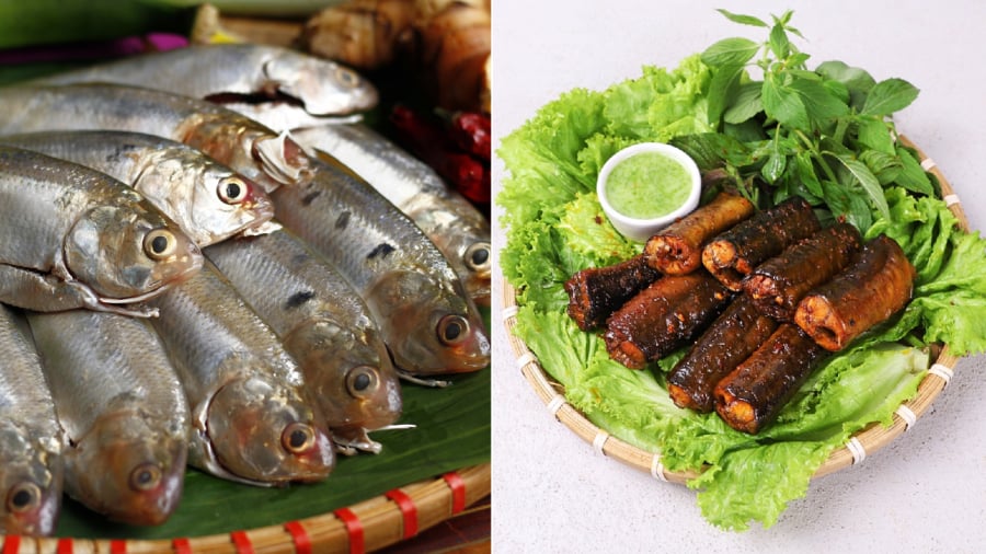 Cá mòi và lươn đều là thực phẩm giàu DHA.