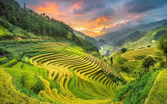 Lai Châu là điểm đến lý tưởng vào các tháng 9 và 10, khi lúa chín vàng óng ánh trên các thửa ruộng
