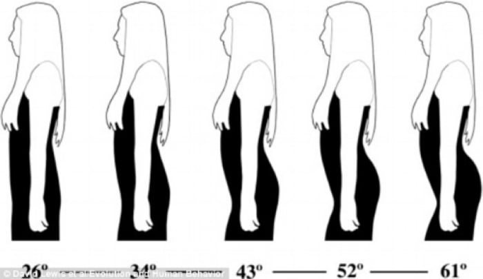Bức ảnh theo dõi phản ứng của nam giới trước dáng phụ nữ với đường cong của vòng ba từ nhỏ đến lớn.