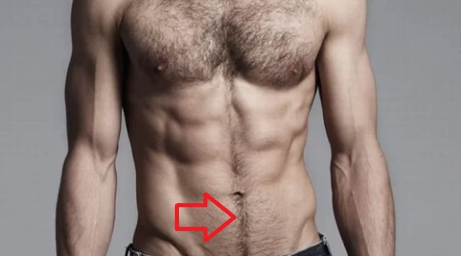 Trong nhân tướng học, việc xem xét vùng lông bụng của người đàn ông thường được coi là một dấu hiệu về sức mạnh và thành công. 