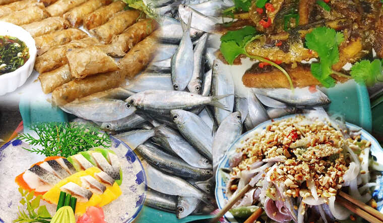 Cá trích chứa hàm lượng axit béo Omega-3 cao và nguồn vitamin D phong phú