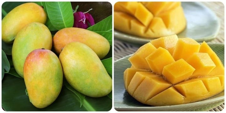 Xoài là một loại trái cây nhiệt đới được nhiều người ưa chuộng với hương vị ngọt thanh. 