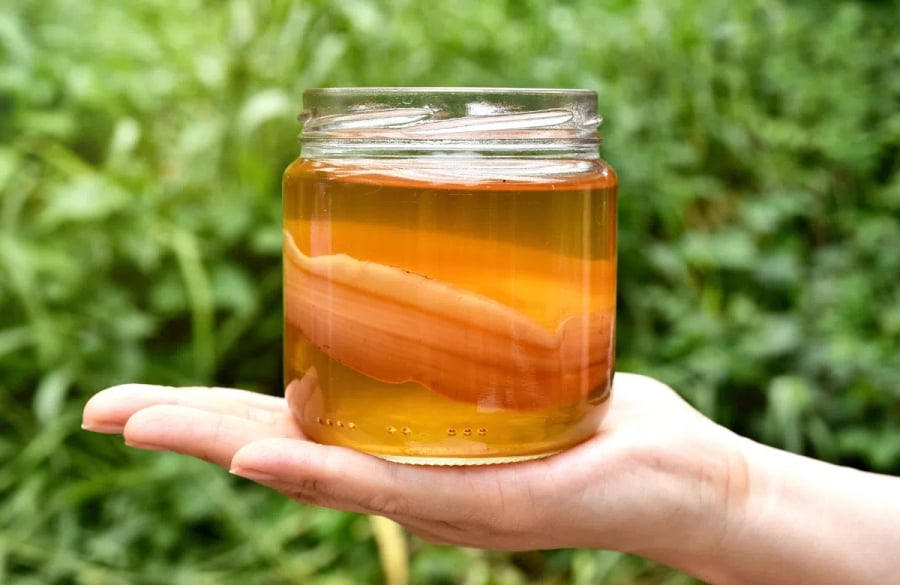 Kombucha thường được pha từ trà đen hoặc trà xanh và được coi là nguồn cung cấp probiotics tốt