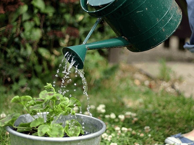 Nước thải từ máy điều hòa không có độ axit cao hoặc độ kiềm. Do đó, có thể sử dụng để tưới cây và hoa.    
