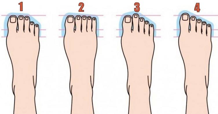 Loại bàn chân với ba ngón đầu bằng nhau thường được xem là phổ biến nhất trong phân loại của nhân tướng học.