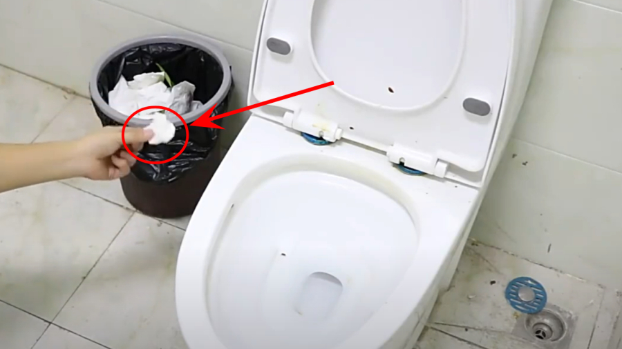 Nên vứt giấy vệ sinh vào thùng rác hay vứt vào bồn cầu?