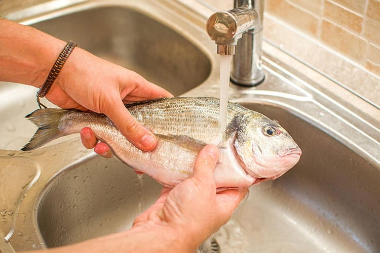Khi mổ cá bạn nên cạo sạch màng đen bên trong bụng cá và loại bỏ cả mang cá để cá bớt tanh