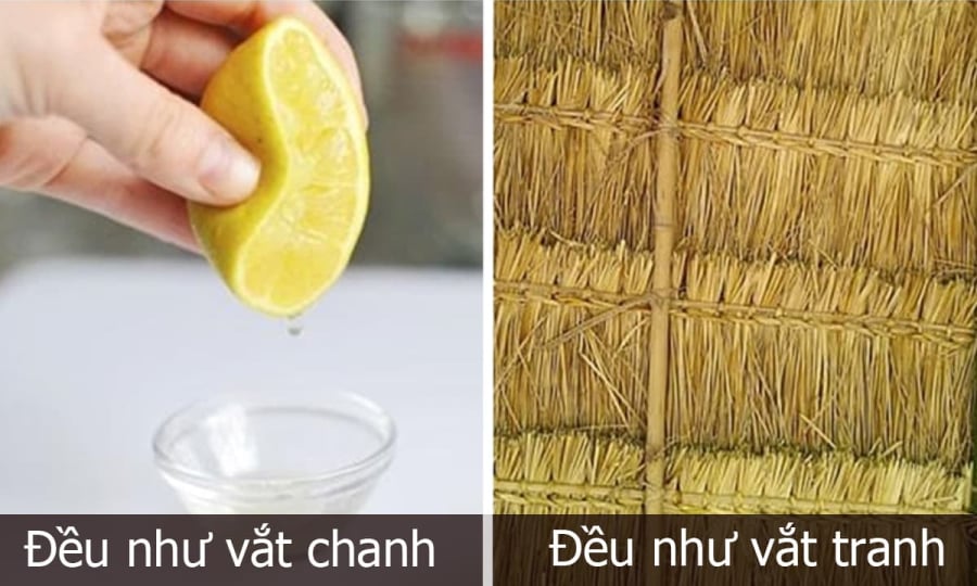 Thành ngữ được cho là chính xác ở đây phải là 