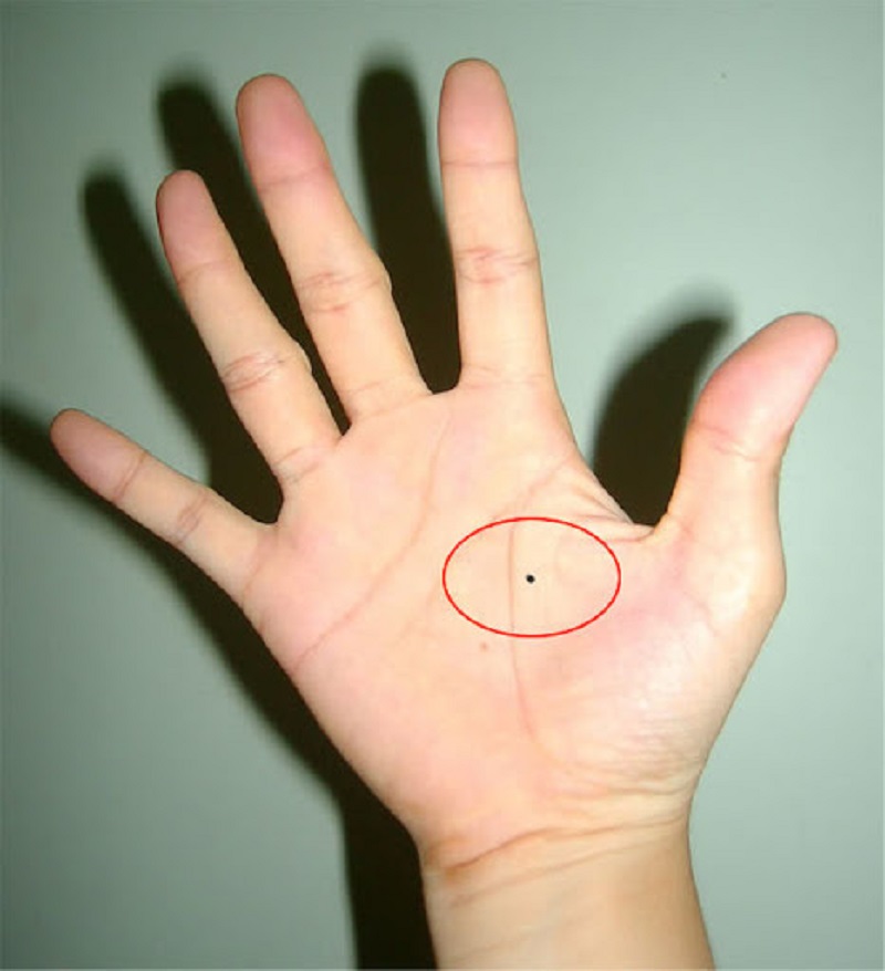  Những người có nốt ruồi ở lòng bàn tay thường là người có tài lộc dồi dào, dễ thăng quan tiến chức. 