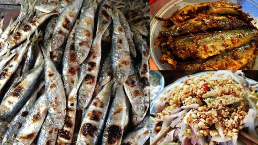 Nhiều món ngon từ cá trích hợp với khẩu vị người Việt
