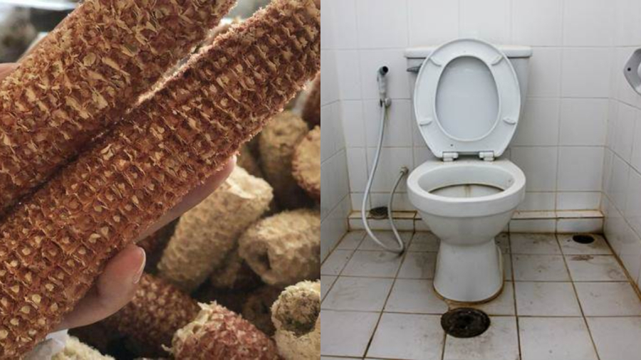 Lõi ngô giúp hút hết mùi khó chịu trong nhà vệ sinh
