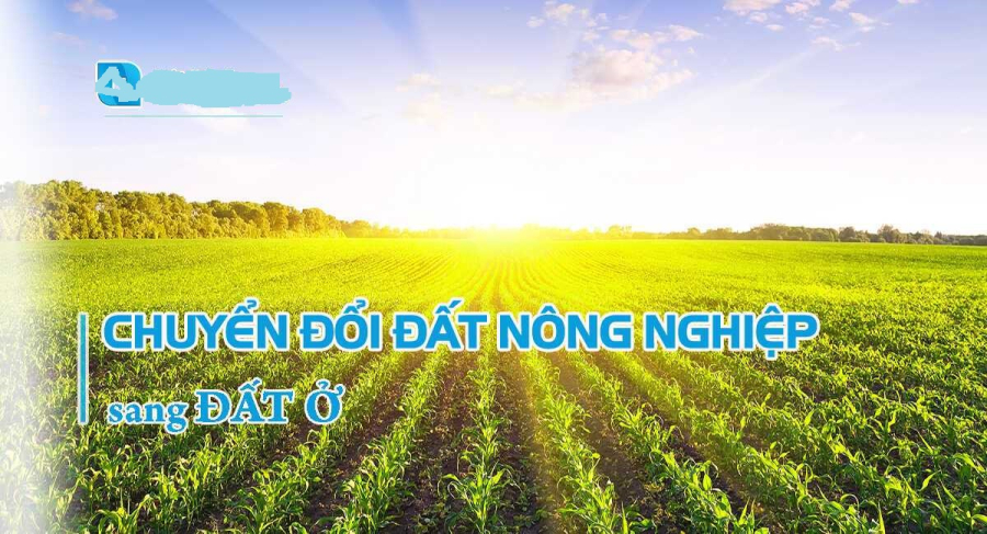 Trường hợp nào xây nhà trên đất nông nghiệp không bị xử phạt