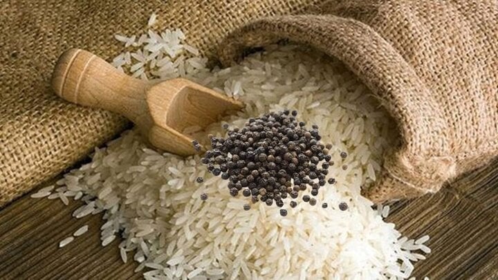 Gạo, nếu không được bảo quản đúng cách, dễ bị tấn công bởi mọt, đặc biệt là trong mùa mưa khi độ ẩm cao và môi trường ẩm ướt.