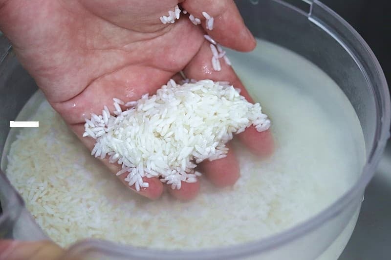Khi vo gạo hãy bỏ một chút muối vào nồi cơm trước khi nấu.