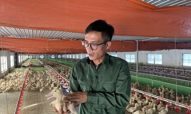 Anh Thái Hòa Nam, sinh năm 1982, cư ngụ tại thành phố Đồng Hới, tỉnh Quảng Bình, đang giữ chức vụ Giám đốc tại Công ty TNHH Nông nghiệp Công nghệ cao An Việt